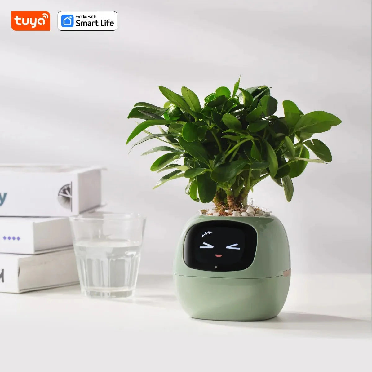 Tuya Ivy Smart Planter,Endless Fun over 49 Rich Expressions,7 Smart Sensors,Ai Chips Make Raising Plants Easy and Fun